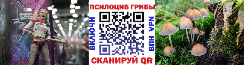 OMG как зайти  Городище  Псилоцибиновые грибы ЛСД 
